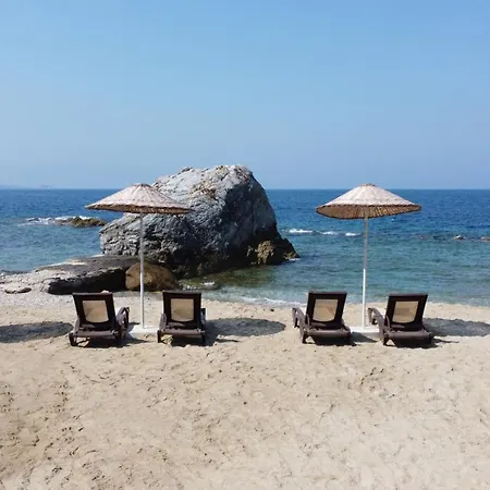 Pine Bay Resort 5*
