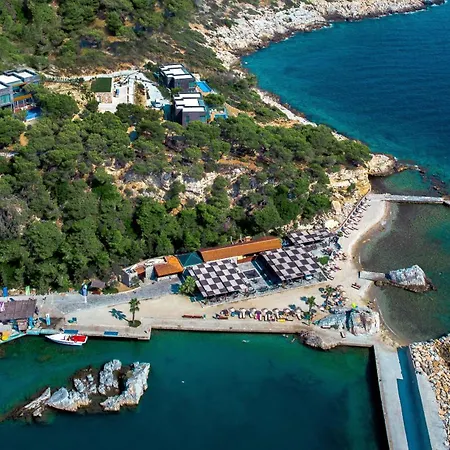 Pine Bay
