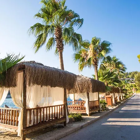 Pine Bay Resort
