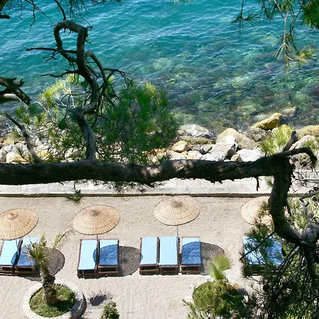 Resort Pine Bay 5*