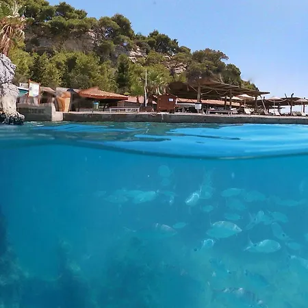 Pine Bay