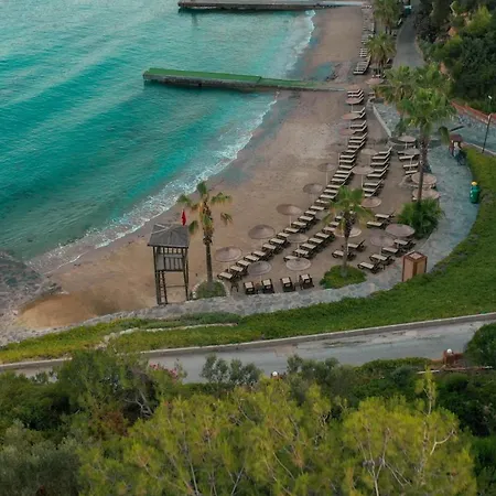 Resort Pine Bay