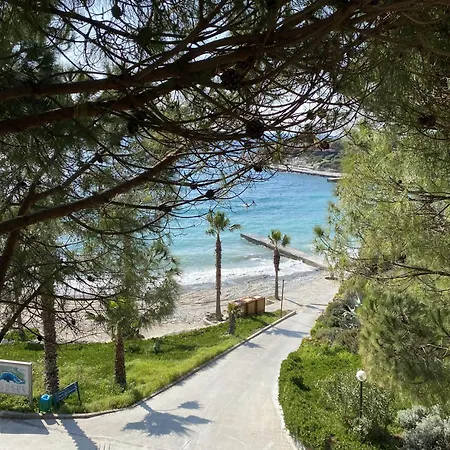Pine Bay Resort