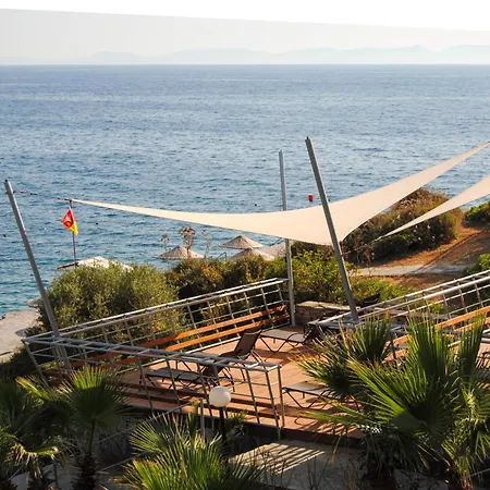 Pine Bay קוסדסי