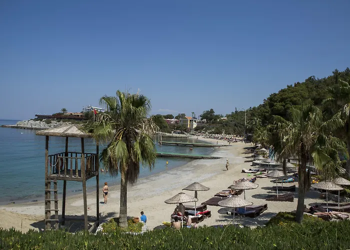 リゾート Pine Bay 5*