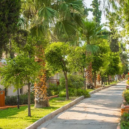 Pine Bay 5* Kusadası