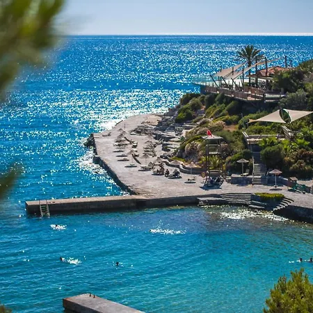 Pine Bay 5*