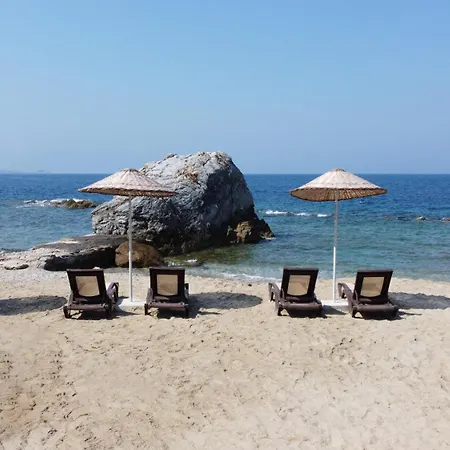 Pine Bay קוסדסי
