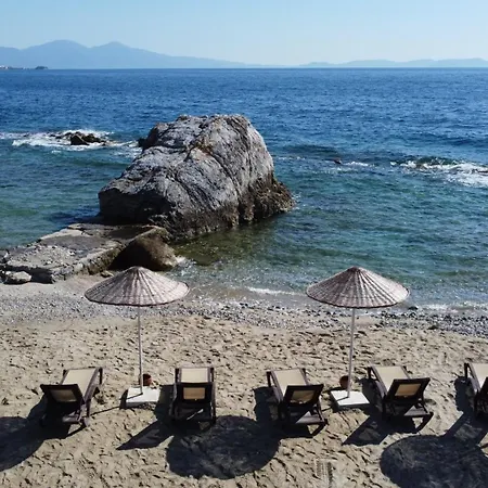 Complex Pine Bay 5*