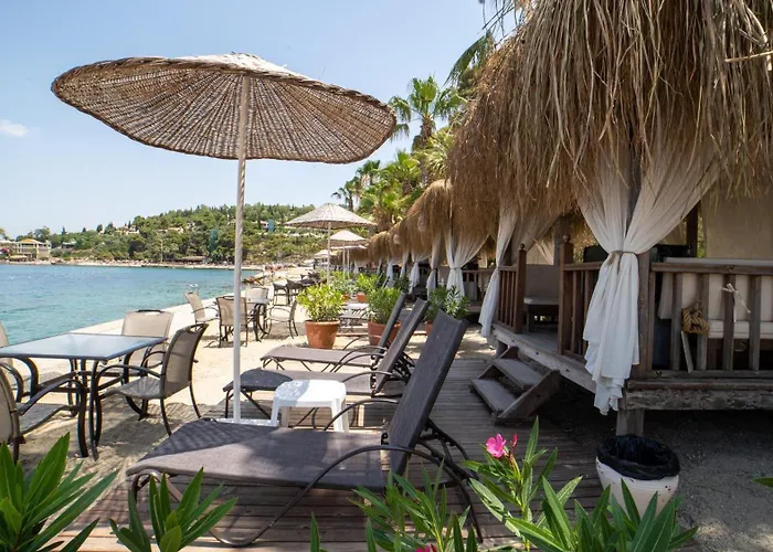 度假村 松树湾旅游度假酒店
