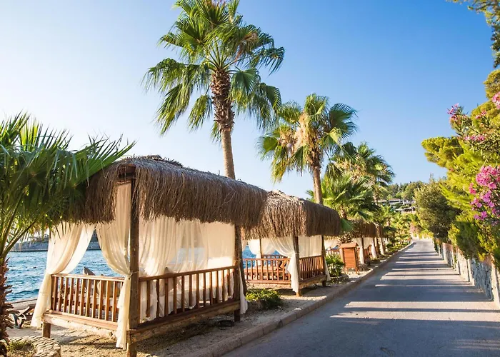 松树湾旅游度假酒店 度假村