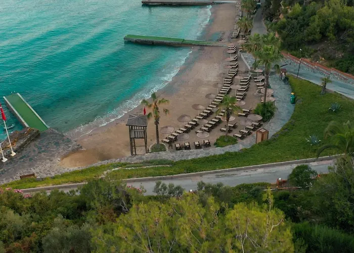 度假村 松树湾旅游度假酒店