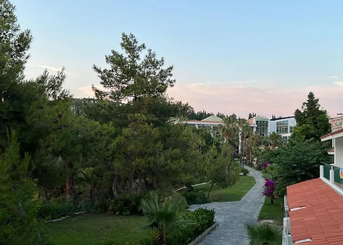 度假村 松树湾旅游度假酒店 库萨达斯